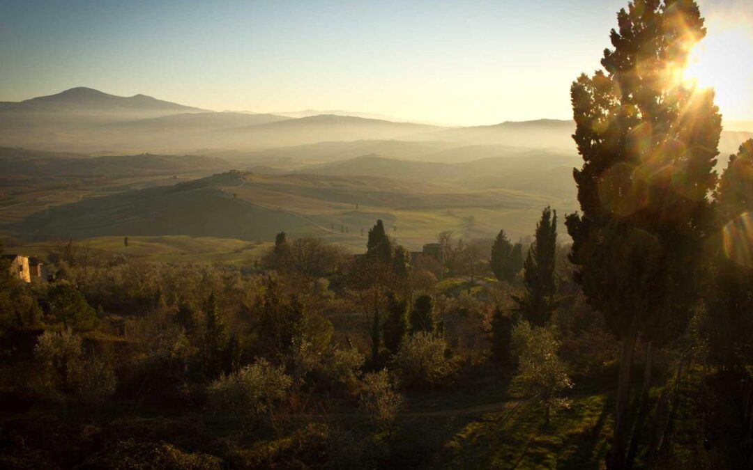 Recusandae ea aut mollitia veniam