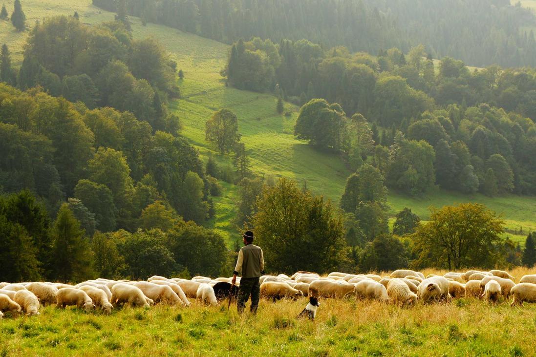 Quam aspernatur sequi